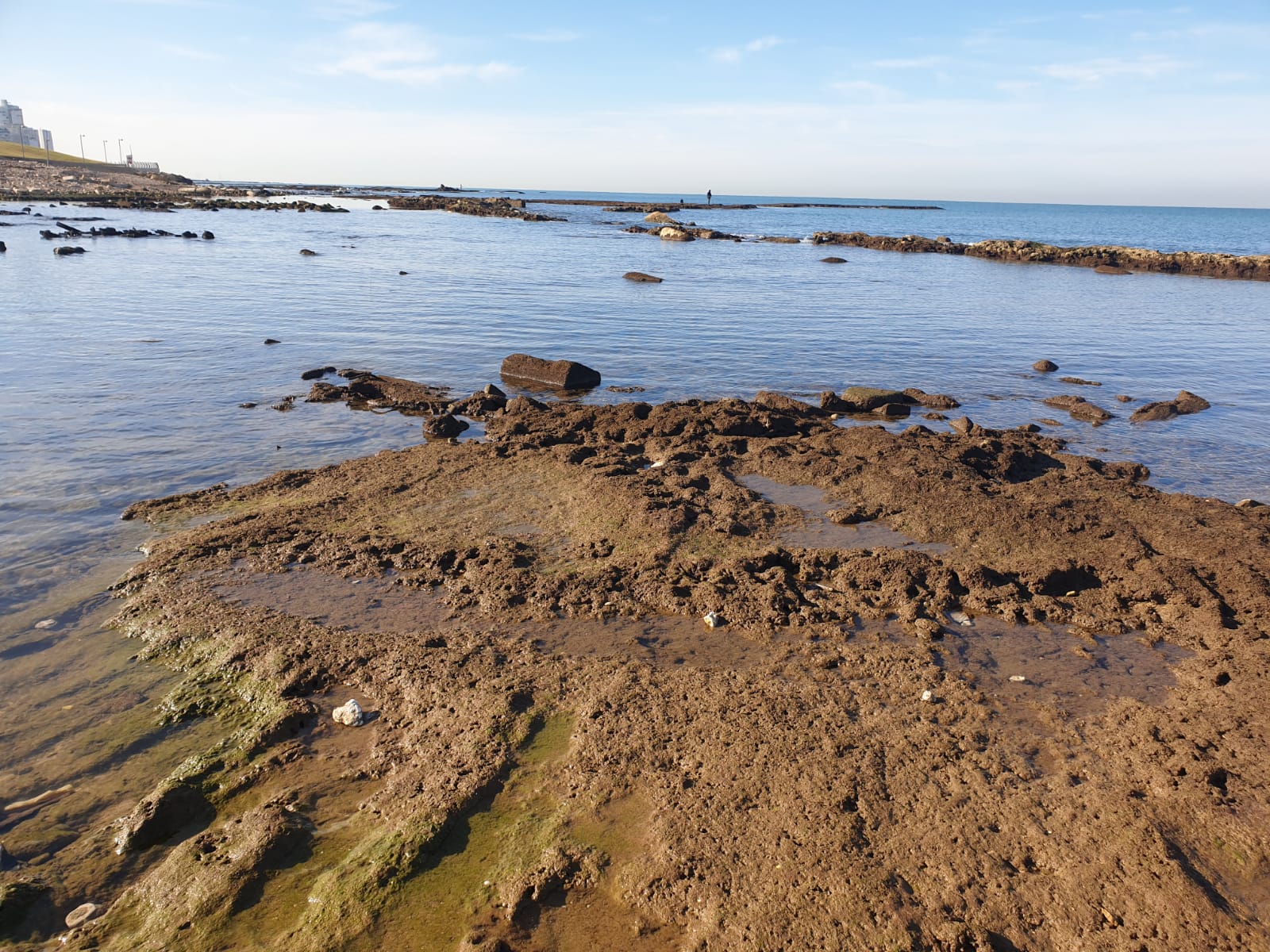 WhatsApp Image 2020-01-27 at 9.05.20 AM (1).jpeg.jpeg